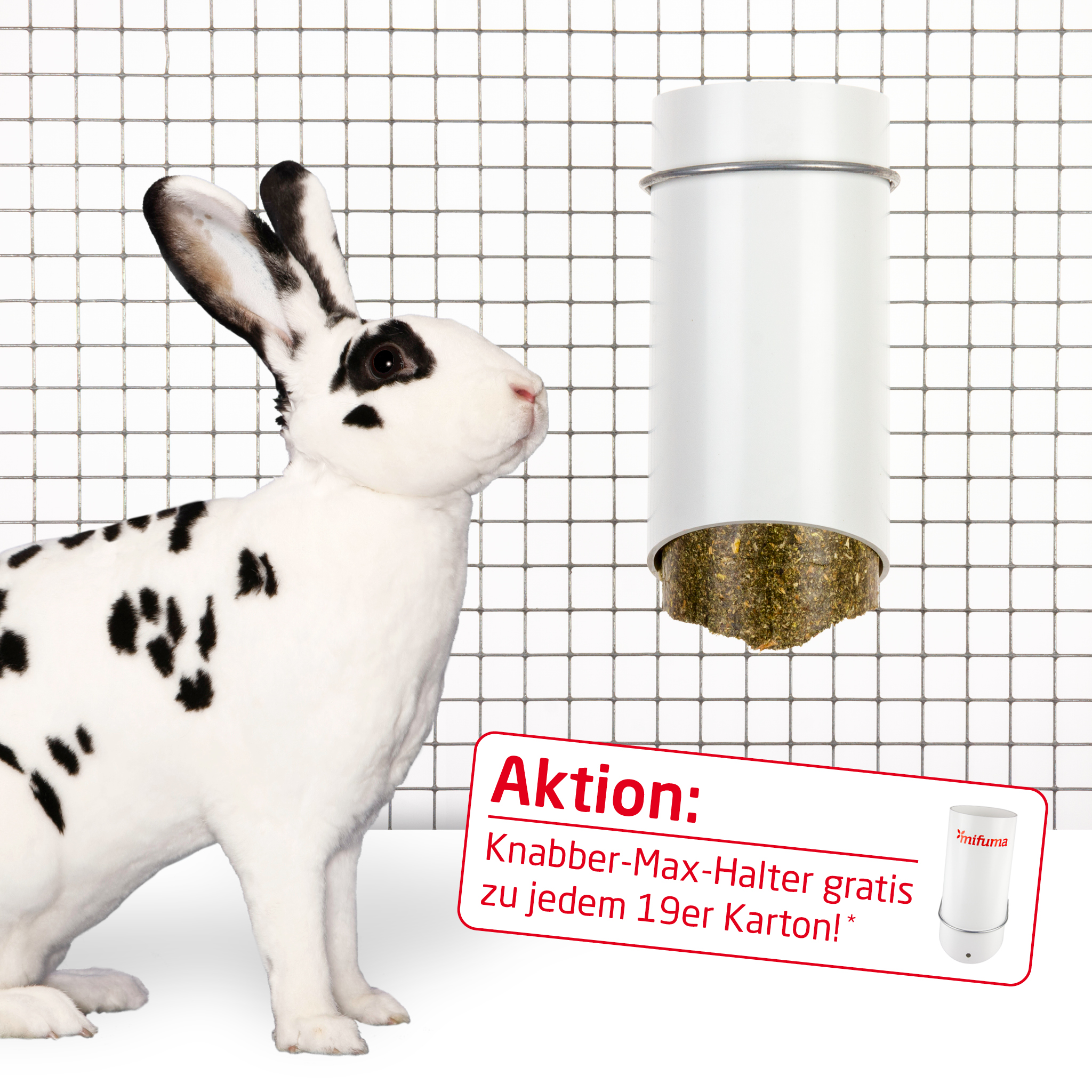 Rabbit food for the Knabber-Max holder