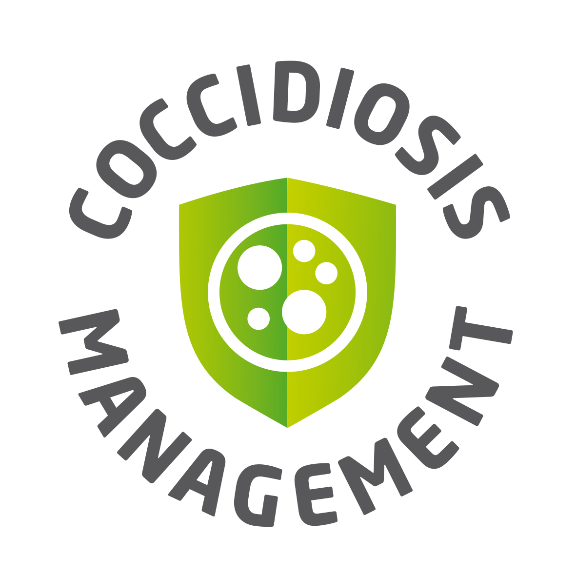 Küken- und Junghennen-Aufzucht