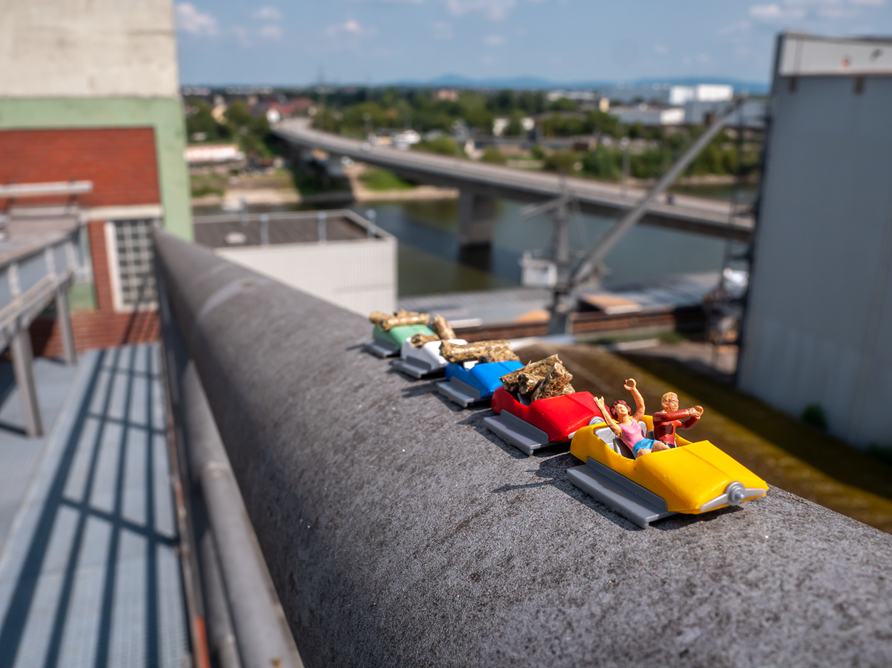 Little Mifuma Roller Coaster Ride