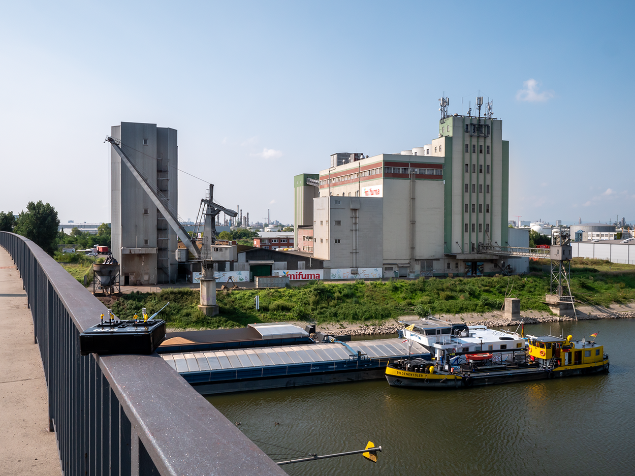 Little Mifuma Remote Controlled