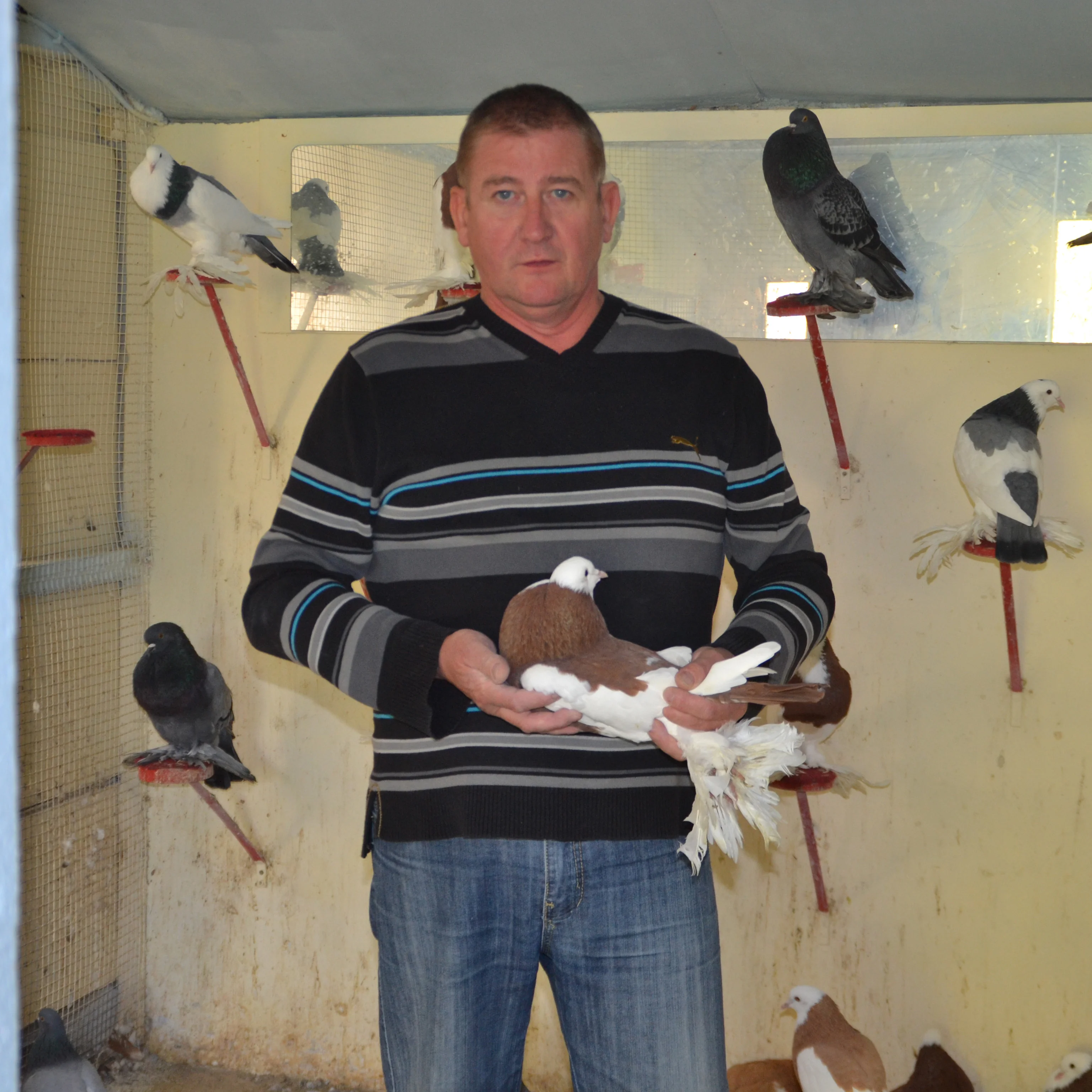 I'm sorry, but "Serge Paschke" does not appear to be a text in a language that can be translated into English. It seems to be a name or a term that does not require translation.