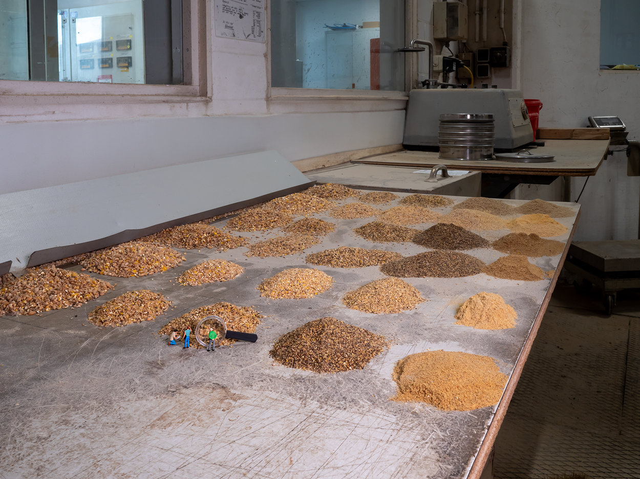 Litte Mifuma Quality Inspection