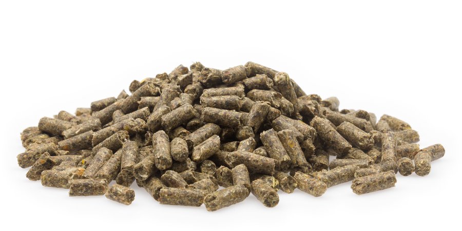 Kälberstarter KS Plus